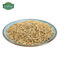 Premium natural dried cumin seeds for sale